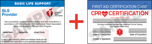 Sample American Heart Association AHA BLS CPR Card Certificaiton and First Aid Certification Card from CPR Certification Orlando