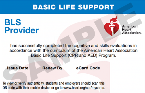 Sample American Heart Association AHA BLS CPR Card Certification from CPR Certification Orlando